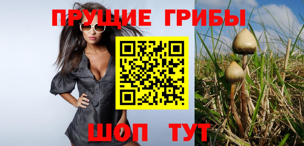 Хасавюрт  Галлюциногенные грибы мицелий  цена   Псилоцибиновые грибы MAGIC MUSHROOMS  Вход с VPN 