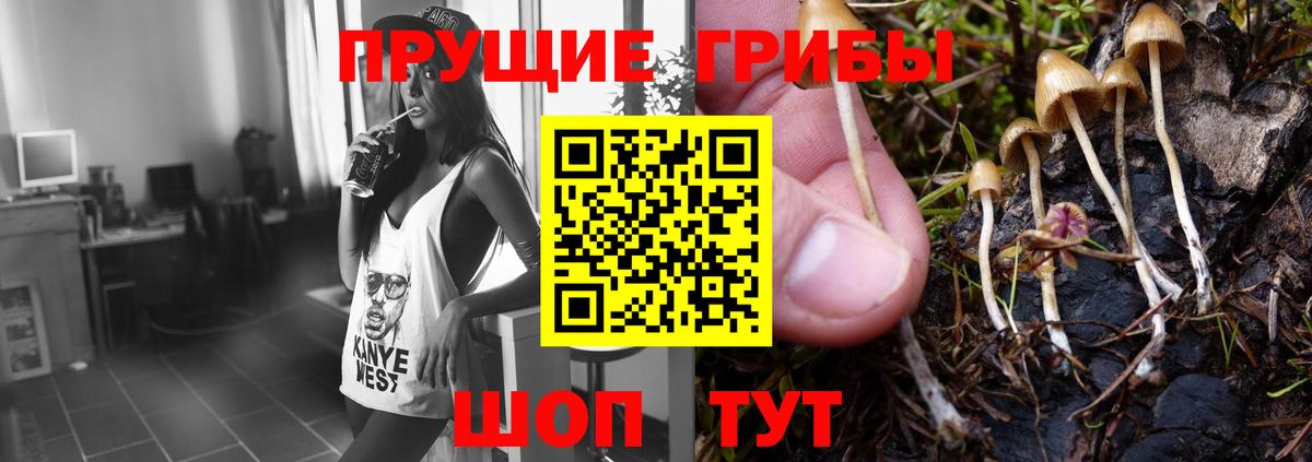 Галлюциногенные грибы мухоморы Хасавюрт